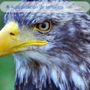 Meet your Posher, Juan